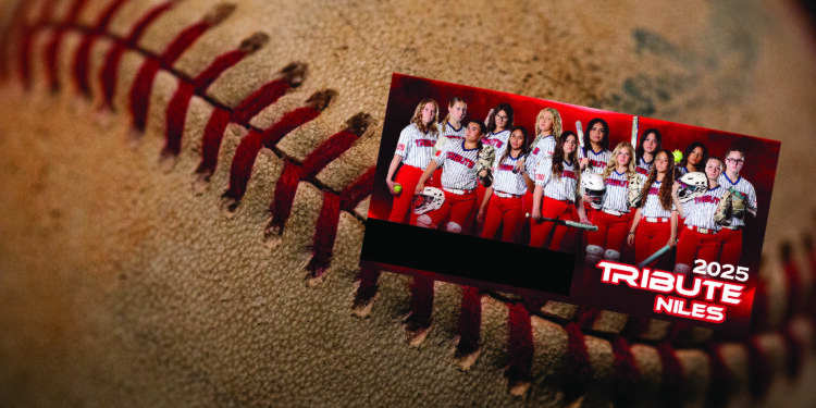 Custom Trading Pins - Cooperstown Gear - Large Tribute Niles Banner Example